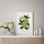 Hydrangea White, Botanical Art Print, thumbnail 1 of 2