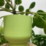 3D Printed Tall Curved Plant Pot With Drainage, thumbnail 4 of 9