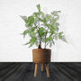 Woven Effect Composite Planter With Stand Large, thumbnail 1 of 8