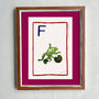 'F' For Frog Alphabet Limited Edition Print, thumbnail 1 of 5