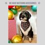 Candy Cane Christmas Dog Bow Tie, thumbnail 4 of 4