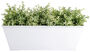 White Zinc Metal Balcony Planter With Flower Pot Holder, thumbnail 1 of 4