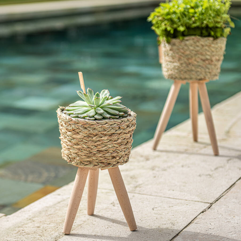 Natural Basket Planter On Tripod Legs By The Best Room ...