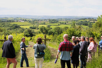 Wine And Cheese Experience Day In The Chedder Valley For Two, 6 of 8