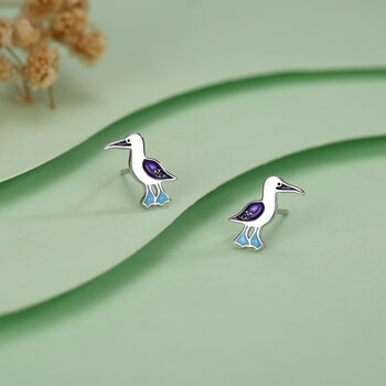 Sterling Silver Blue Footed Booby Stud Earrings, 5 of 11