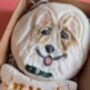 Personalised Hand Iced Pet Portraite Letterbox Biscuit Gift, thumbnail 8 of 11