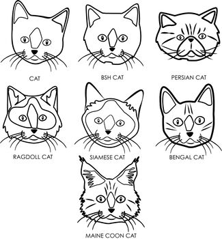 Personalised My Human Cat Mum Organic Mother's Day T Shirt, 2 of 3