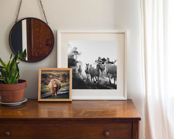 Galloping Camargue Horses Photograph, 3 of 4