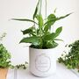 Personalised Birthday Plant Pot Gift | Add A Plant, thumbnail 3 of 8