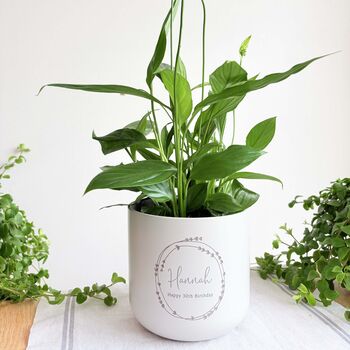 Personalised Birthday Plant Pot Gift | Add A Plant, 3 of 8