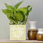 'Today Is The Day' Positivity Plant Pot And Houseplant, thumbnail 1 of 7