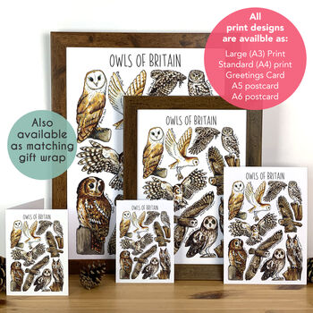 Owls Of Britain Art Blank Greeting Card, 5 of 5