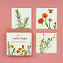 Grow Your Own Welsh Herbs Seed Kit, thumbnail 1 of 7