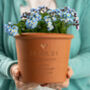 Personalised Forget Me Not Plant Pot, thumbnail 1 of 5