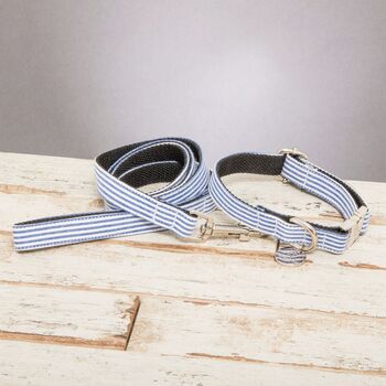 Chichester Blue And White Striped Collar And Lead Set, 8 of 11