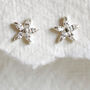 Sterling Silver Diamante Star Flower Earrings, thumbnail 1 of 3