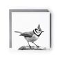 Crested Tit – Hand Drawn Bird Greeting Card Illustration, thumbnail 2 of 3