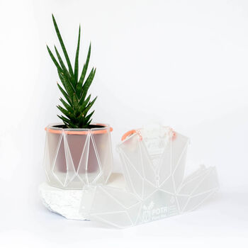 Origami Self Watering Eco Plant Pot: 10cm | Coral Cord, 6 of 6