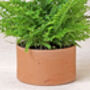 Low Cylinder Terracotta Plant Pot, thumbnail 3 of 4