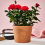 Birth Flower Personalised Flower Pot Birthday Gift, thumbnail 2 of 8