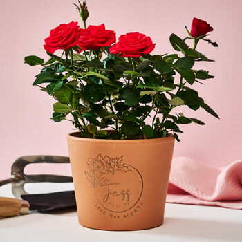 Birth Flower Personalised Flower Pot Birthday Gift, 2 of 8