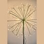 Solar / Battery Dandelion Stake Light, thumbnail 4 of 4