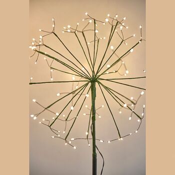 Solar / Battery Dandelion Stake Light, 4 of 4