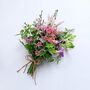 Wildflower Seeds 'Pretty In Pink' 400 X Seed Pack, thumbnail 2 of 8