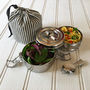 Tiffin Tin With Welsh Wool Case, thumbnail 2 of 7