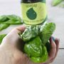 Personalised Strong Spinach Jar Grow Kit, thumbnail 3 of 5