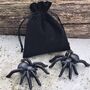 Set Of Two Solid Cast Iron Spiders In Gift Pouch, thumbnail 1 of 4