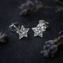 Sterling Silver Twinkling Star Stud Earrings, thumbnail 4 of 9