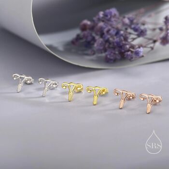 Sterling Silver Female Anatomy Stud Earrings, 6 of 12