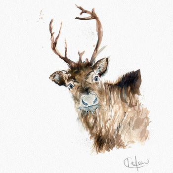 Inky Reindeer Illustration Print, 11 of 11