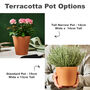 Terracotta Engraved Father's Day Plant Pot, thumbnail 3 of 6