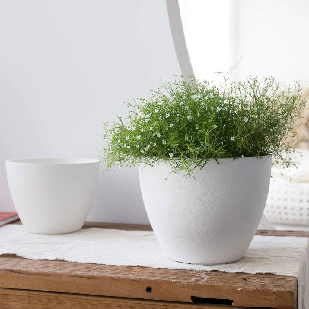 Pack Of Two Modern Planters Pots With Drainage Holes By Momentum