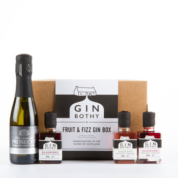 Fruit And Fizz Gin Box Gift Set, 3 of 3