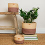 Taifa: Brown And Sand Duo Colour Block Woven Basket, thumbnail 1 of 8