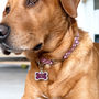 Personalised Doggy Bone Pet ID Tag, thumbnail 1 of 9