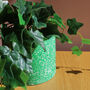 Handmade Plant Pot, thumbnail 3 of 7