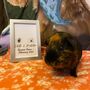 Personalised Framed Guinea Pig Paw Print Gift, thumbnail 3 of 6