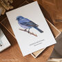 Indigo Bunting Bird Wall Print, thumbnail 3 of 6