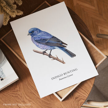 Indigo Bunting Bird Wall Print, 3 of 6