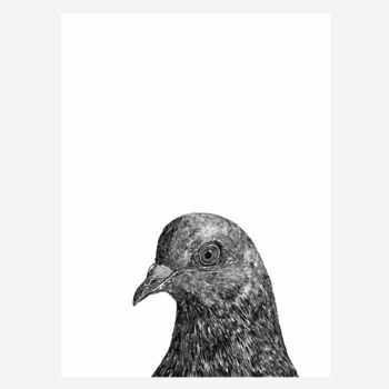Pigeon Print, 2 of 3