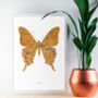 Personalised Butterfly Map Print, thumbnail 1 of 5