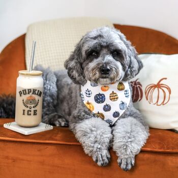 Personalised Pupkin Spice Dog Lover Glass Tumbler, 11 of 11