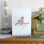 Bullfinch And Blossom Greetings Card, thumbnail 4 of 10