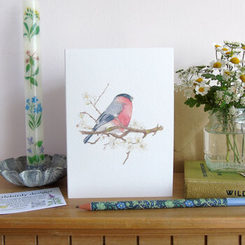 Bullfinch And Blossom Greetings Card, 4 of 10