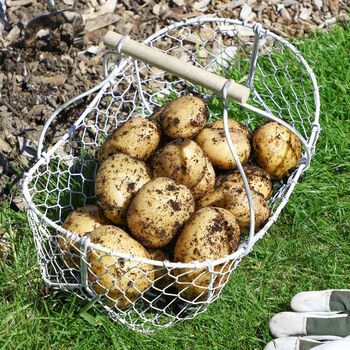 Personalised Home Grown Potatoes Gardening Basket, 3 of 7