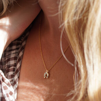 Mini Lucky Charm Horseshoe Necklace, 3 of 12